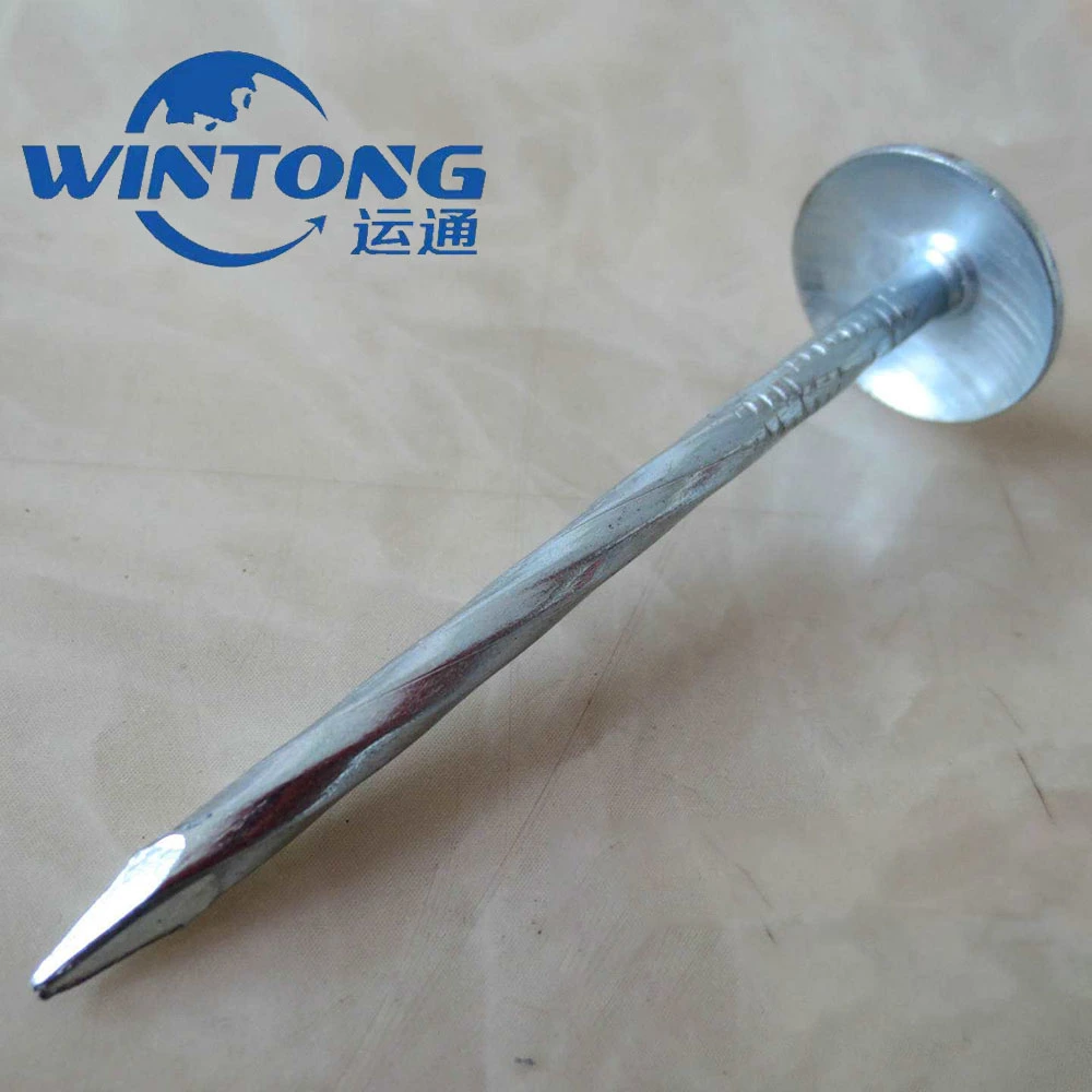 Galvanized Roofing Nail/Wire Nail with High quality/High cost performance  and Competition Price