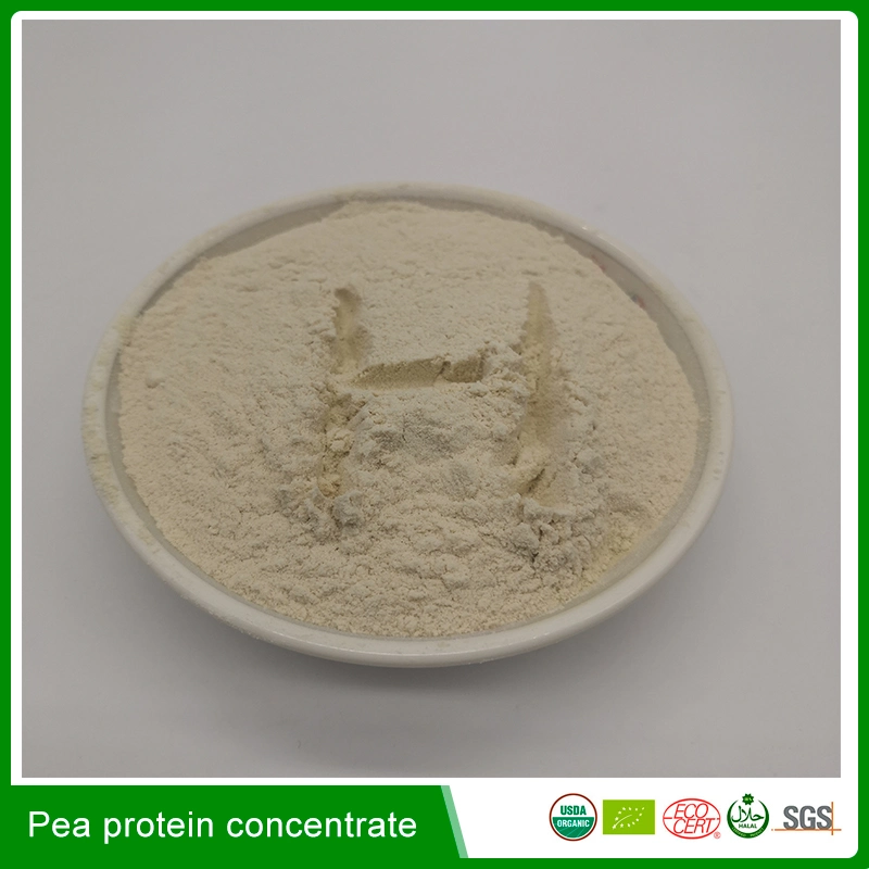 Food Grade Free Sample Non-GMO Organic Pea Fiber for Nutrition Enhancers