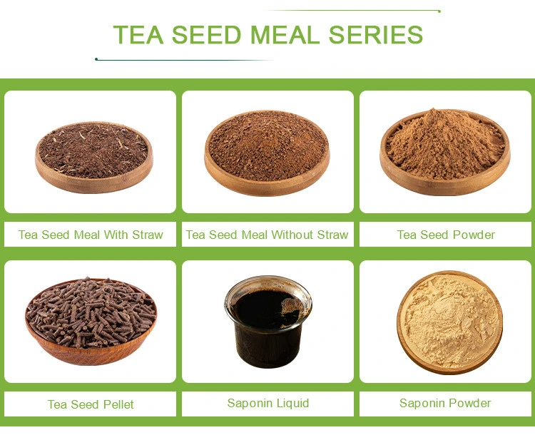 Camellia Seed Extract Tea Saponin Liquid