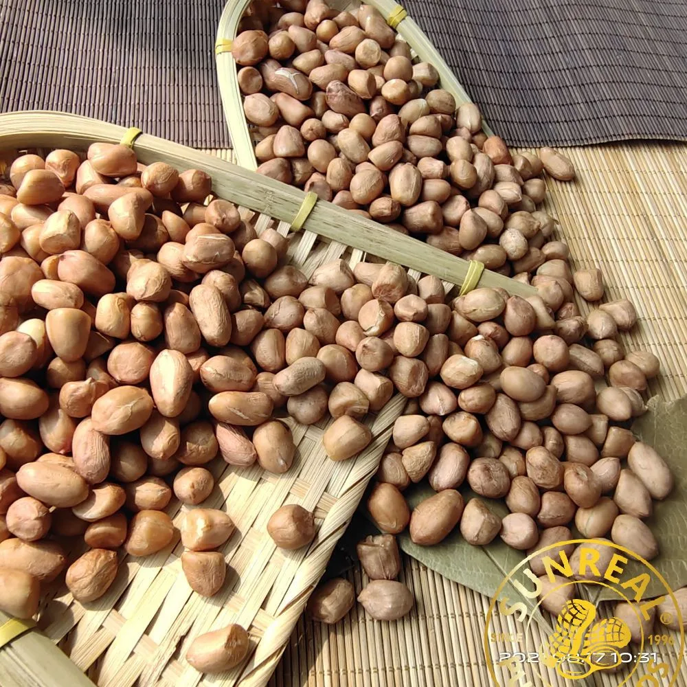 Raw Peanut Kernels/Hsuji Type 35/40 /Vacuum Bags&Cartons/for Frying/Snacks Materials