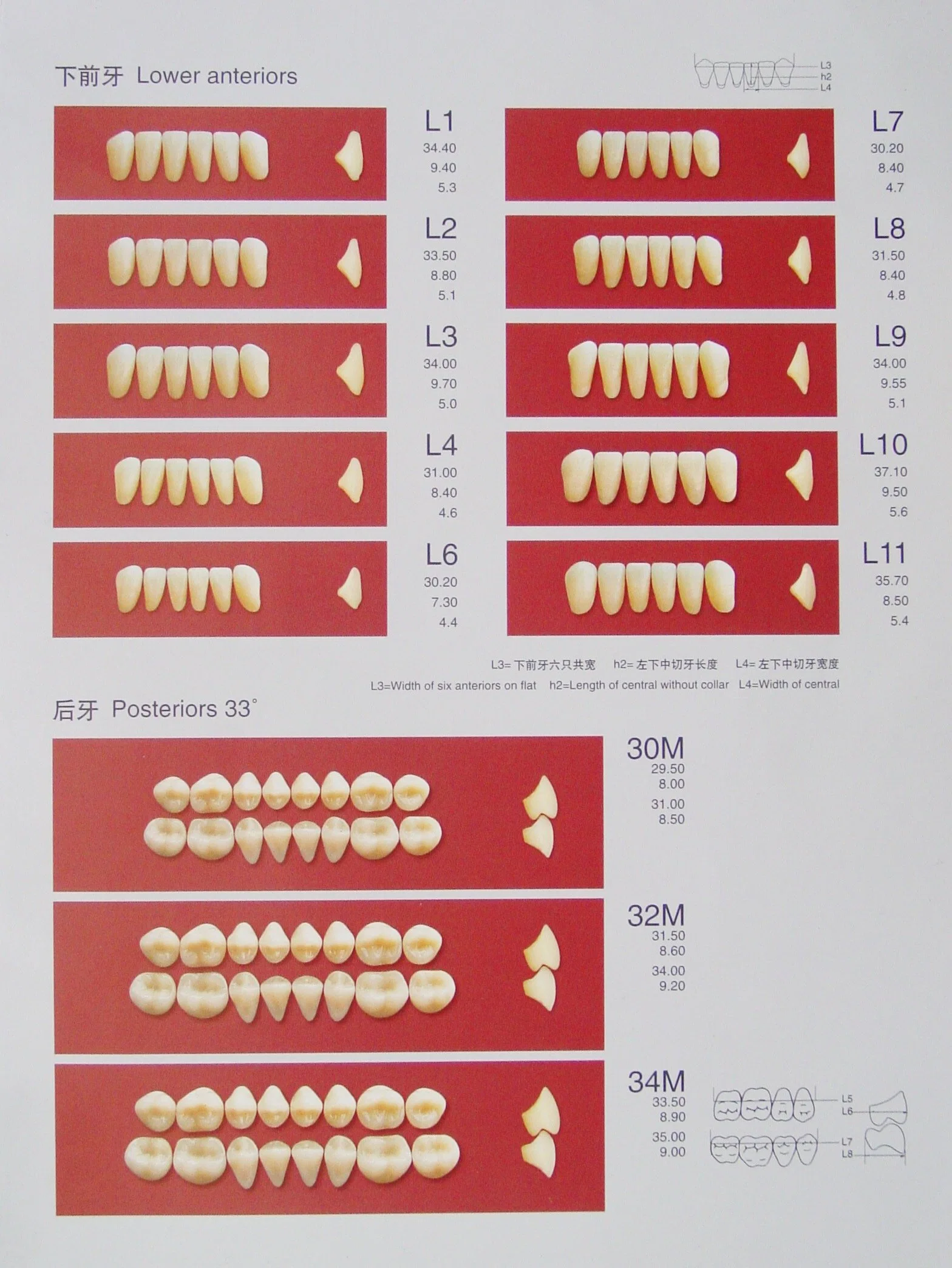 Los dientes de resina de polímero sintético dental