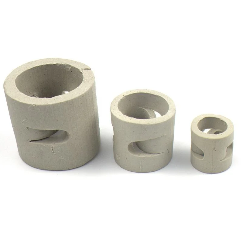 Customized Supplier Price 25mm 38mm Chemical Tower Packing Ceramic Pall Ring