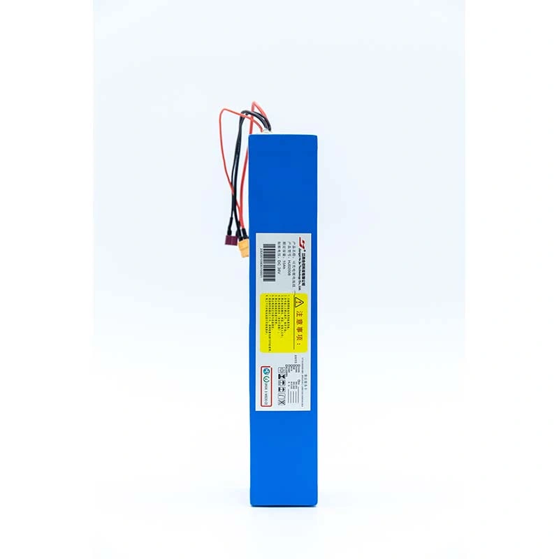 Rechargeable Charge 36V 48V 10ah 20ah 10000mAh Electric Bike Scooter Customized 18650 Lipo Battery