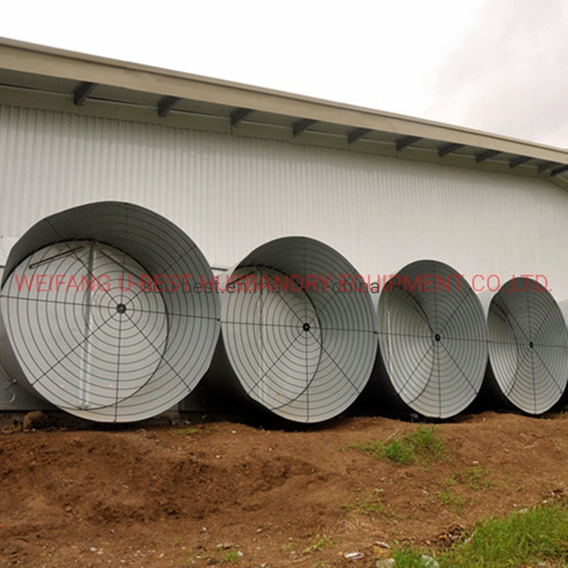 Well Designed Broiler Breeder Layer Chicken Use Poultry Farm Construction Design