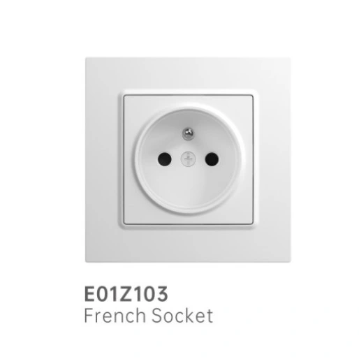 Electrical Wall Sockets Outlet of Russia Standard E01z102