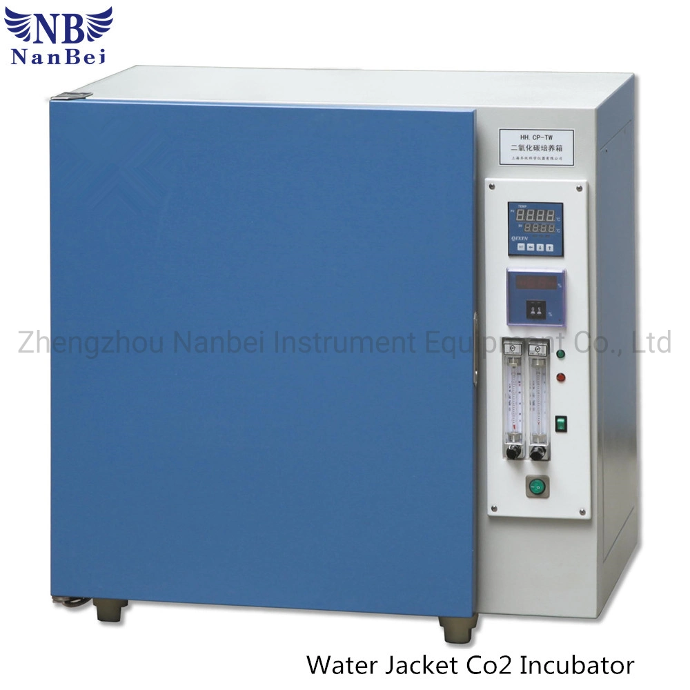 Electric Water Jacket Small CO2 Incubator for Bacteria