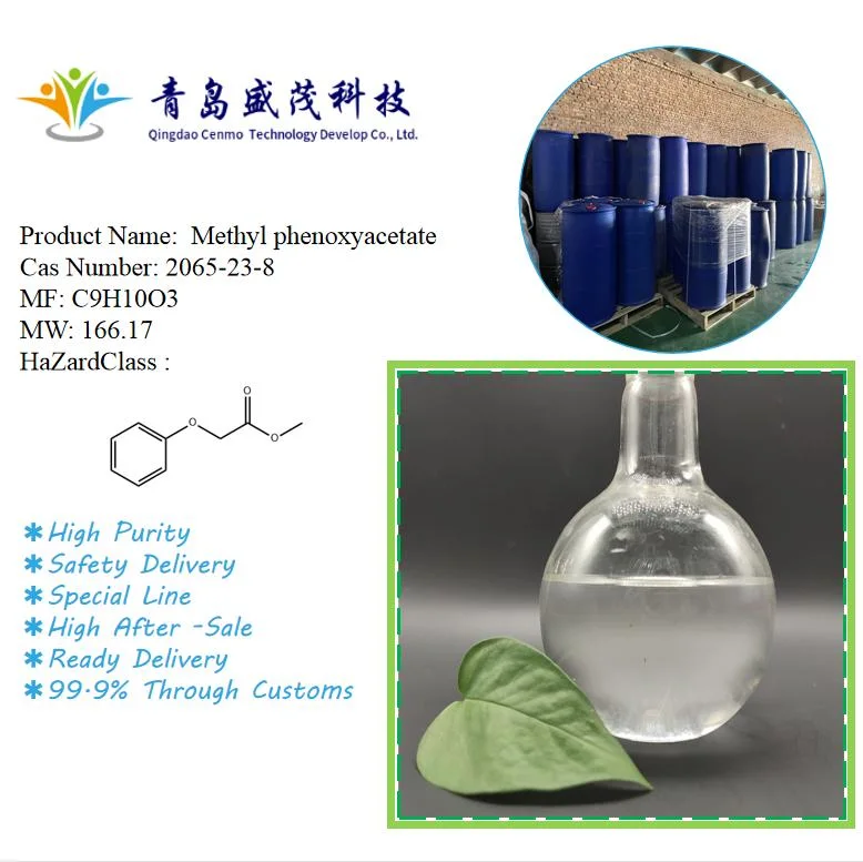 Methyl Phenoxyacetate Colorless Liquid CAS with Safety Delivery