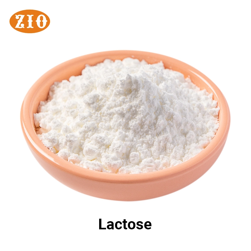 Low Price High Sweetness Lactose Monohydrate Food Supplier