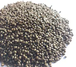 Source Supply Granular Vegetable Flower Green Plant Spray Organic Fertilizer