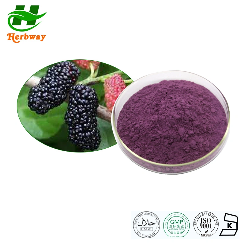 Herbway Free Probe koscher Halal FSSC HACCP zertifiziert Obst und Gemüsesaft Pulver Mulberry Fruit Extract Mulberry Fruit Powder