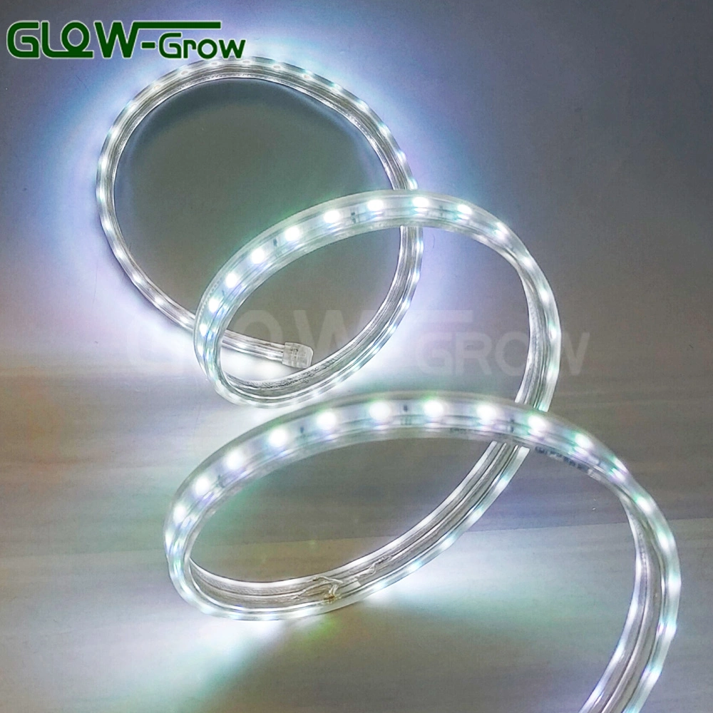 AC110V 220V Popular LED Flexible Strip Light High Voltage SMD 5050 RGB Strip Light for Holiday Ramandam Diwail Christmas Halloween Home Decoration