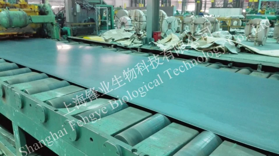 Wood Board Machine Spare Parts of Wear Plate