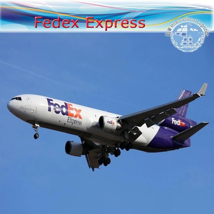 DHL/FedEx/UPS/TNT Air Freight Service von China nach Indien, Neu Delhi/ Bombay/ Kalkutta/ Madras/ Bangalore/ St. Maarten St. Maarten