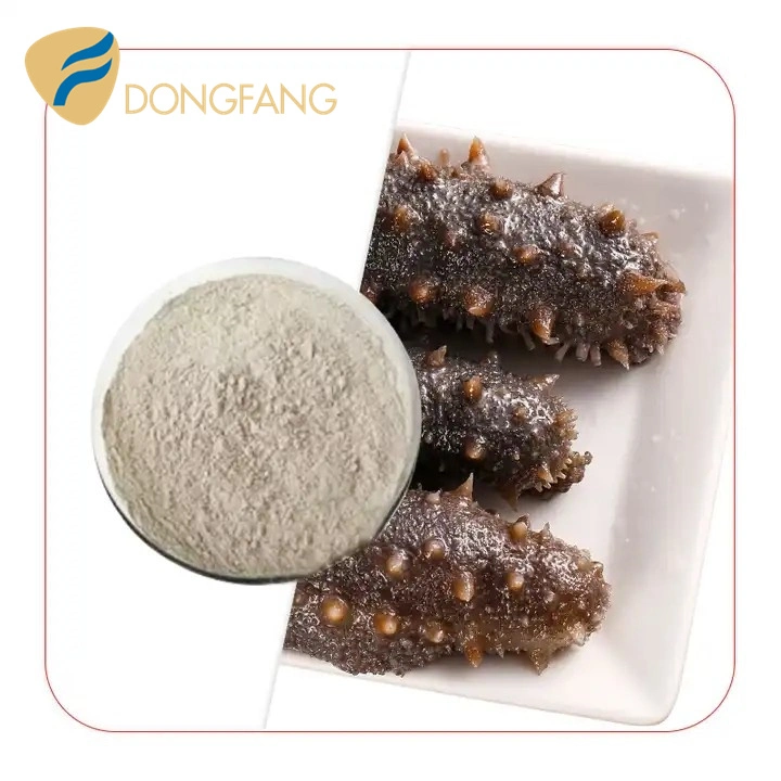 Cosmetic Food Grade Peptidase Enzyme Extract Sea Cucumber Peptide for Sale