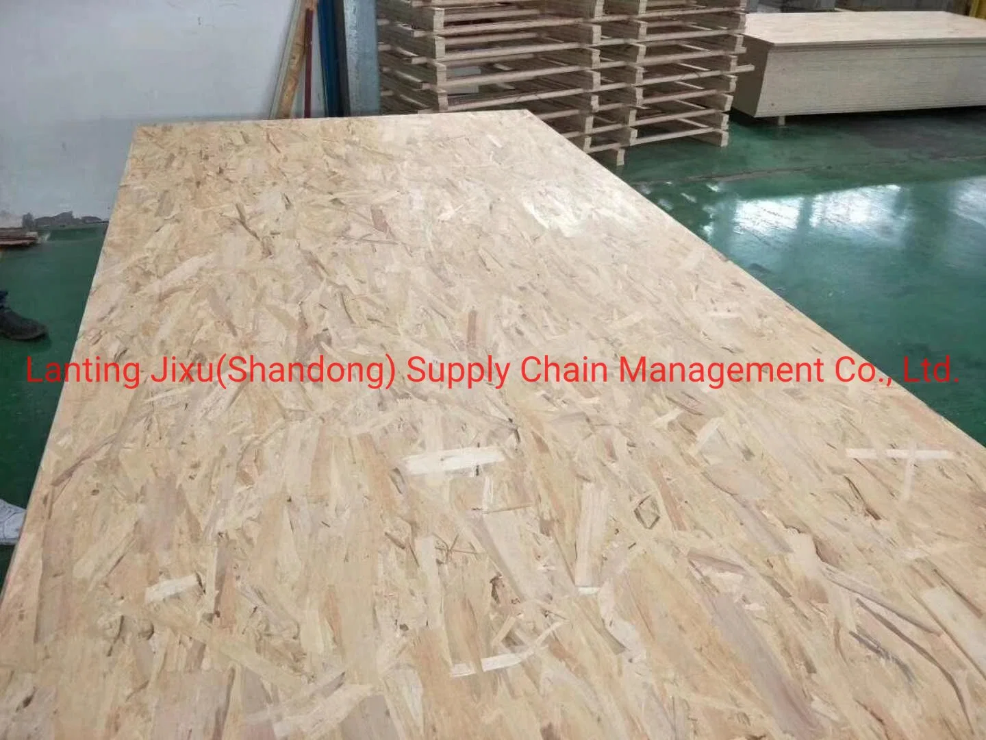 18mm OSB Board for Decorative From Sinosky Group