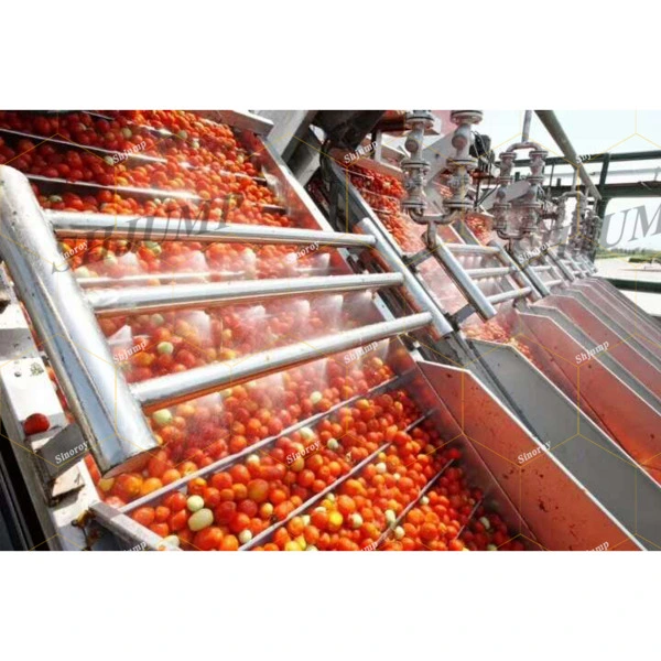 La purée de tomates de l'équipement de stérilisation/purée de tomate Machine de remplissage