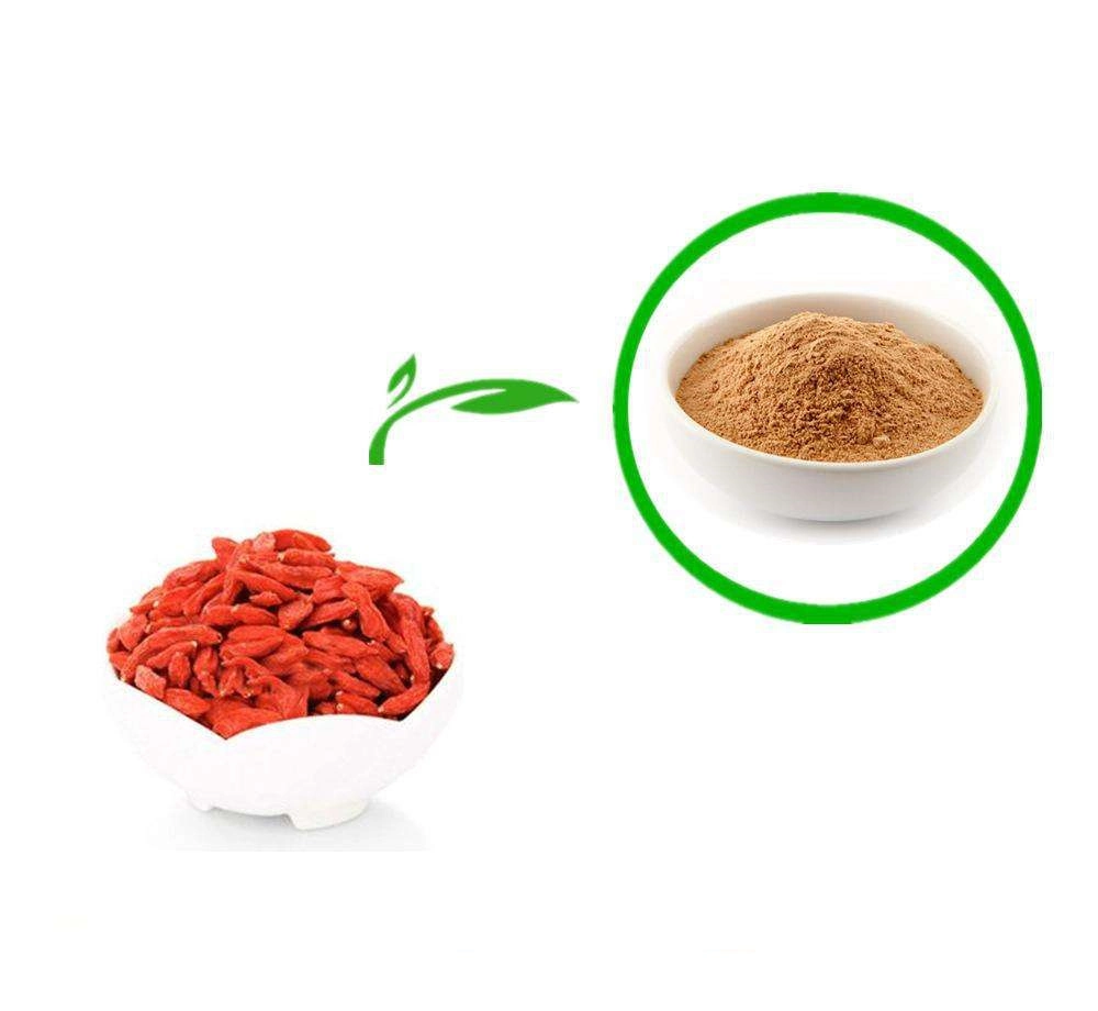 Free Sample! Barbury Wolfberry Fruit Extract with Lycium Barbarum Polysaccharides