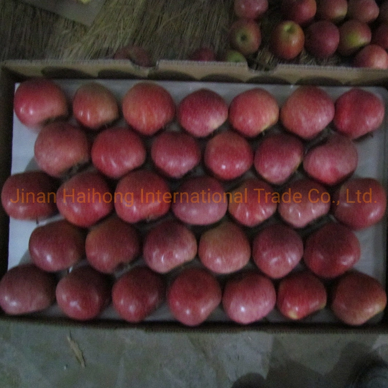 Shandong Fuji rojo manzana con sabor dulce