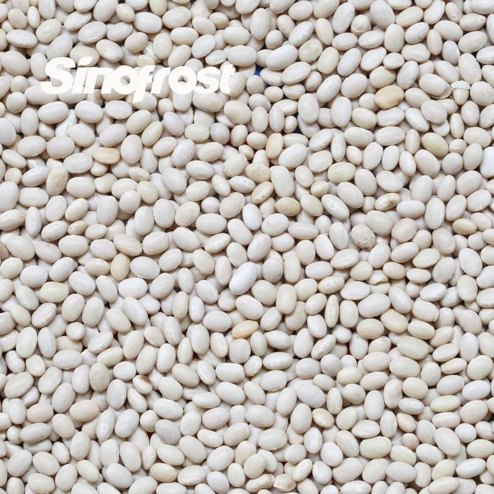 Sinofrost: Reliable IQF Frozen White Kidney Beans Bulk Supplier & Wholesale/Supplier Distributor