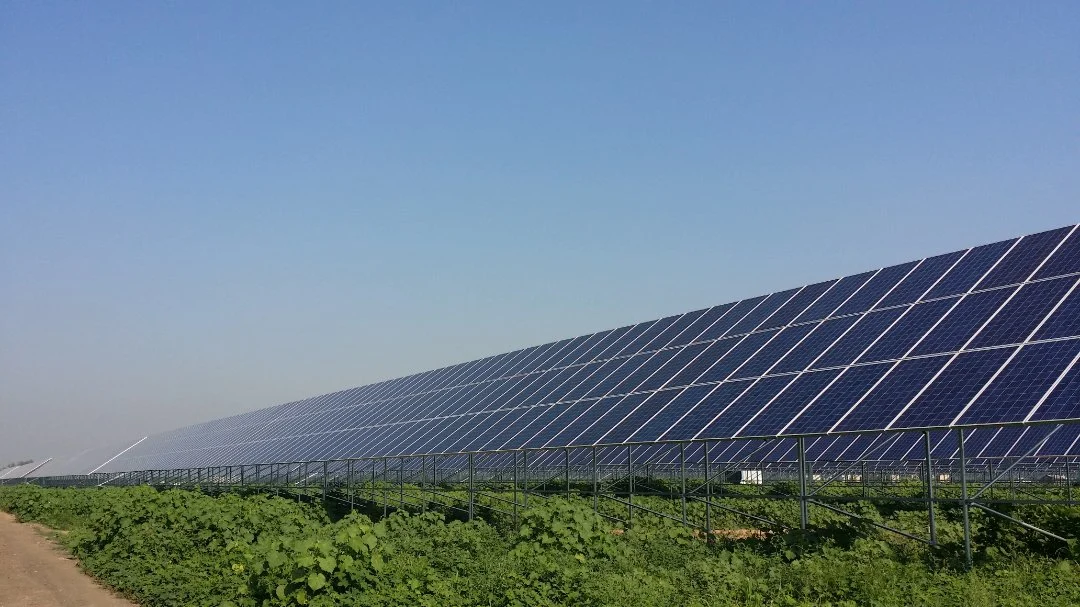 Hydroponic Smart Solar Panel légumes de gros cadres de serre