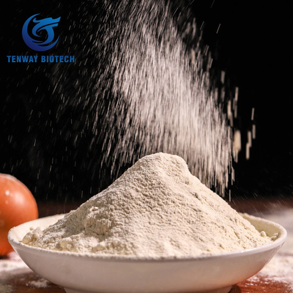 High quality/High cost performance  Food Ingrdient/Additive China Manufacture Vital Wheat Gluten Powder for Sale at Low Price