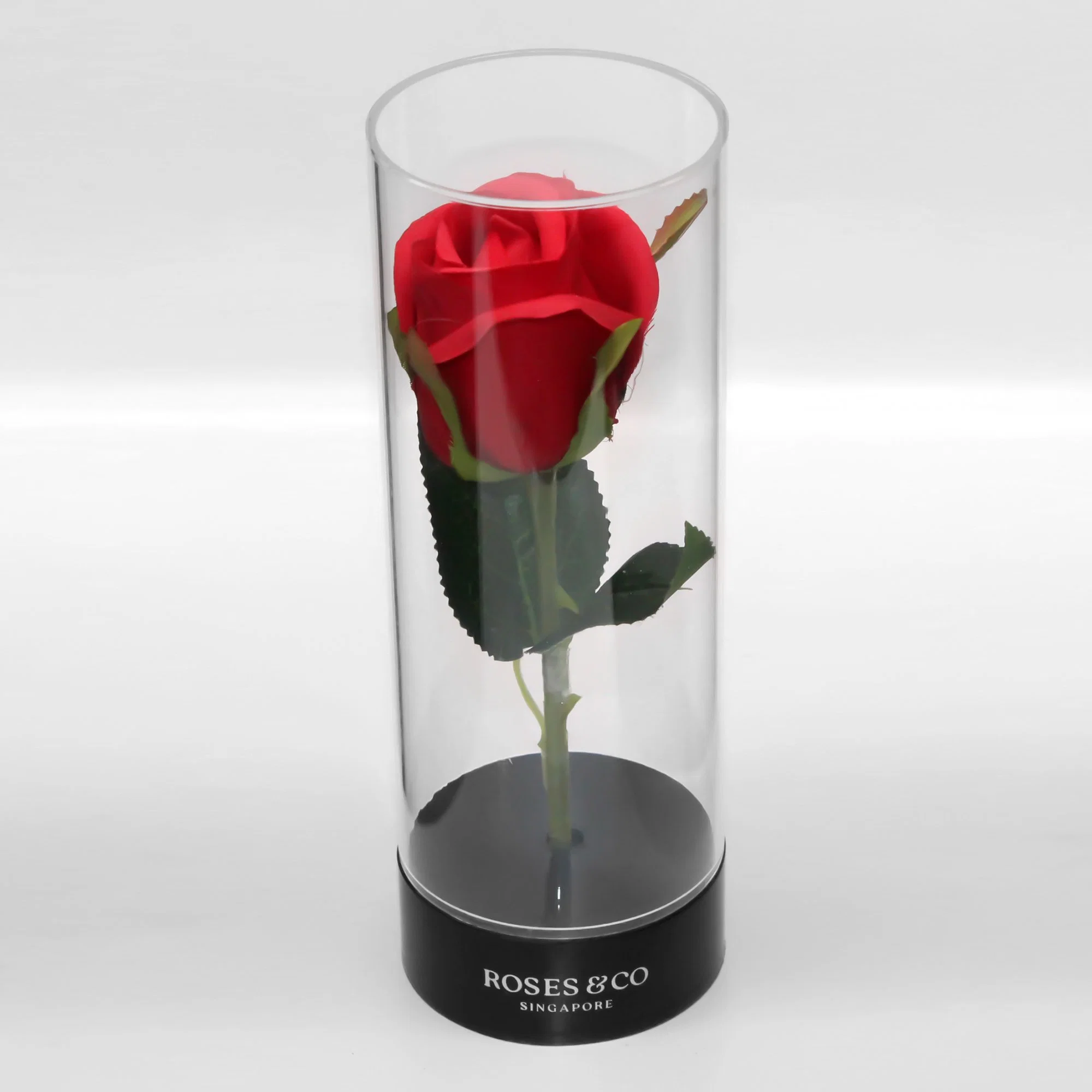 Flower Handle Box Transparent Cylinder Single Flower Box Acrylic Rose Bouquet Packing Box Valentine's Day