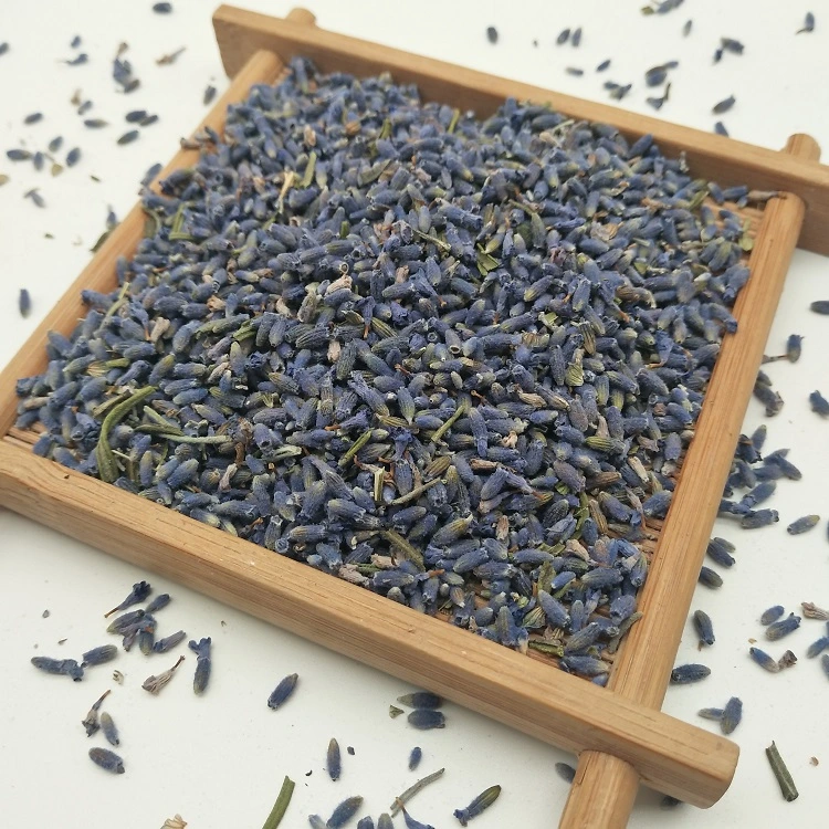 Xun Yi Cao Nueva base de hierbas té de Flor seca Premium capullos de lavanda