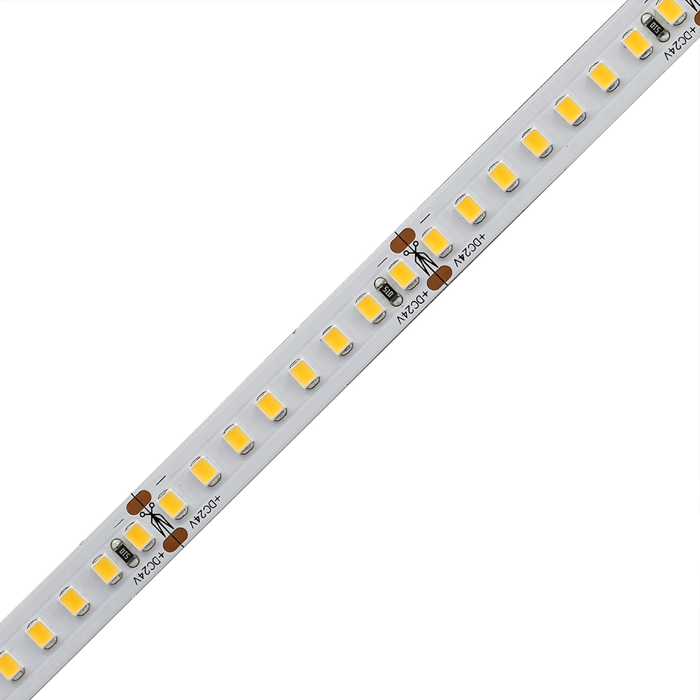 High Lumens 12V 24V IP67 Waterproof Indoor Decorated SMD 2835 LED Light Strip