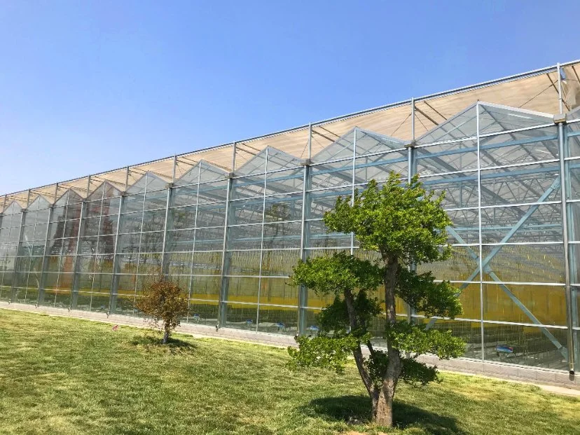 Smart High-Quality Agricultural Glass Greenhouse with Automated Control System