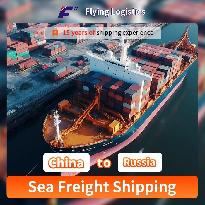 Professional Shipping Agent Transportation From China to Russia LCL Logistics Service