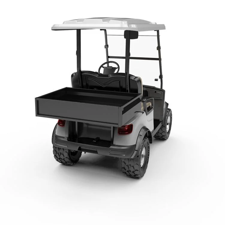 Segurança bateria de baixa velocidade de 48 V funciona utilitário veículo elétrico Utility Carro de Golfe com dois Seatsfor Golf Course (DH-M2 e caixa de carga)