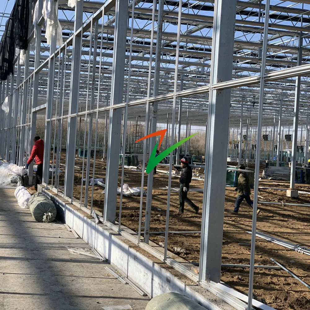 Intelligent Glass Greenhouse with Automatic/Heating/Cooling/Hydroponics System for Agriculture/Seeding/Vegetables/Fruits/Exhibition/Scientific Research