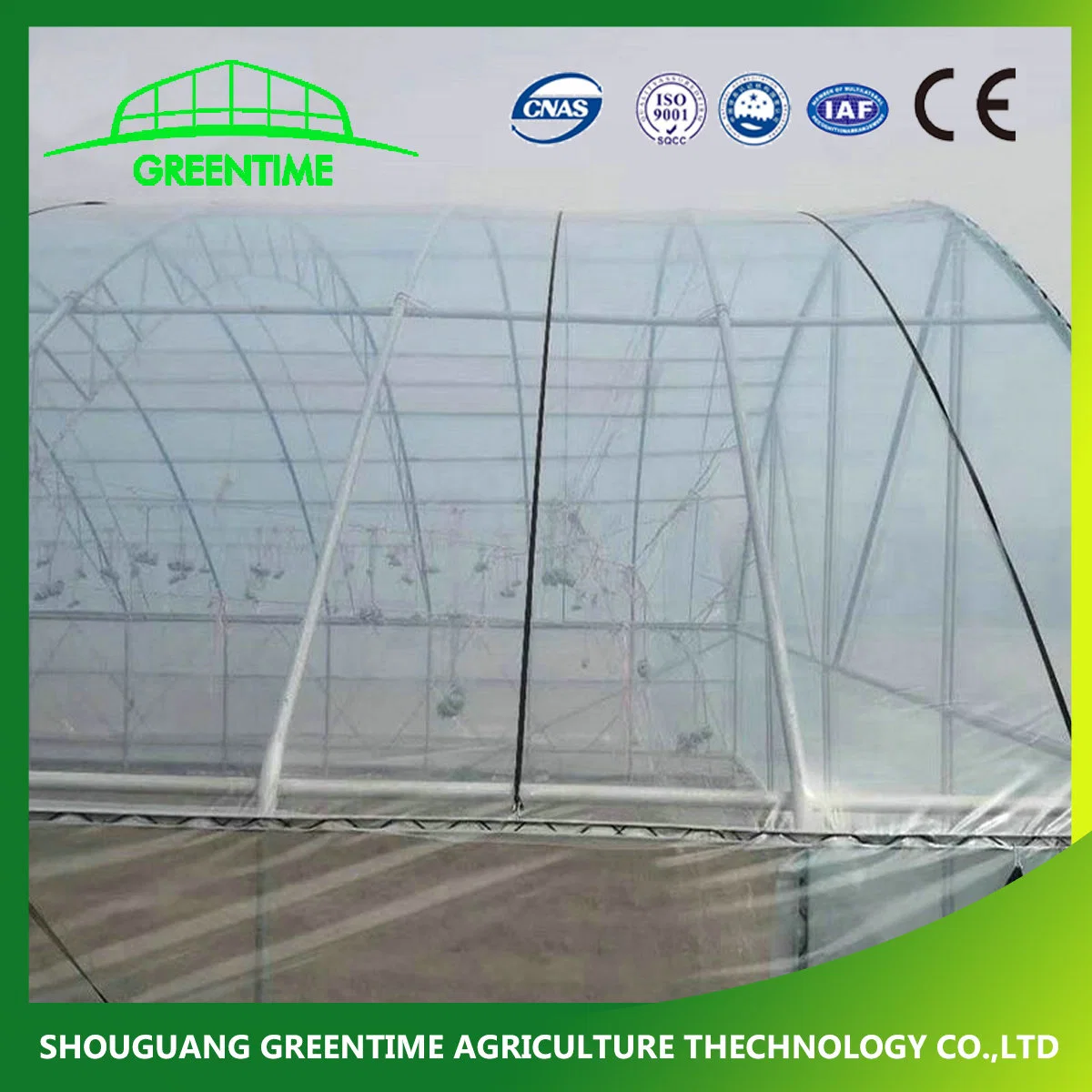 UV Treated Polyethylene Plastic Film Greenhouse 180 Micron Film