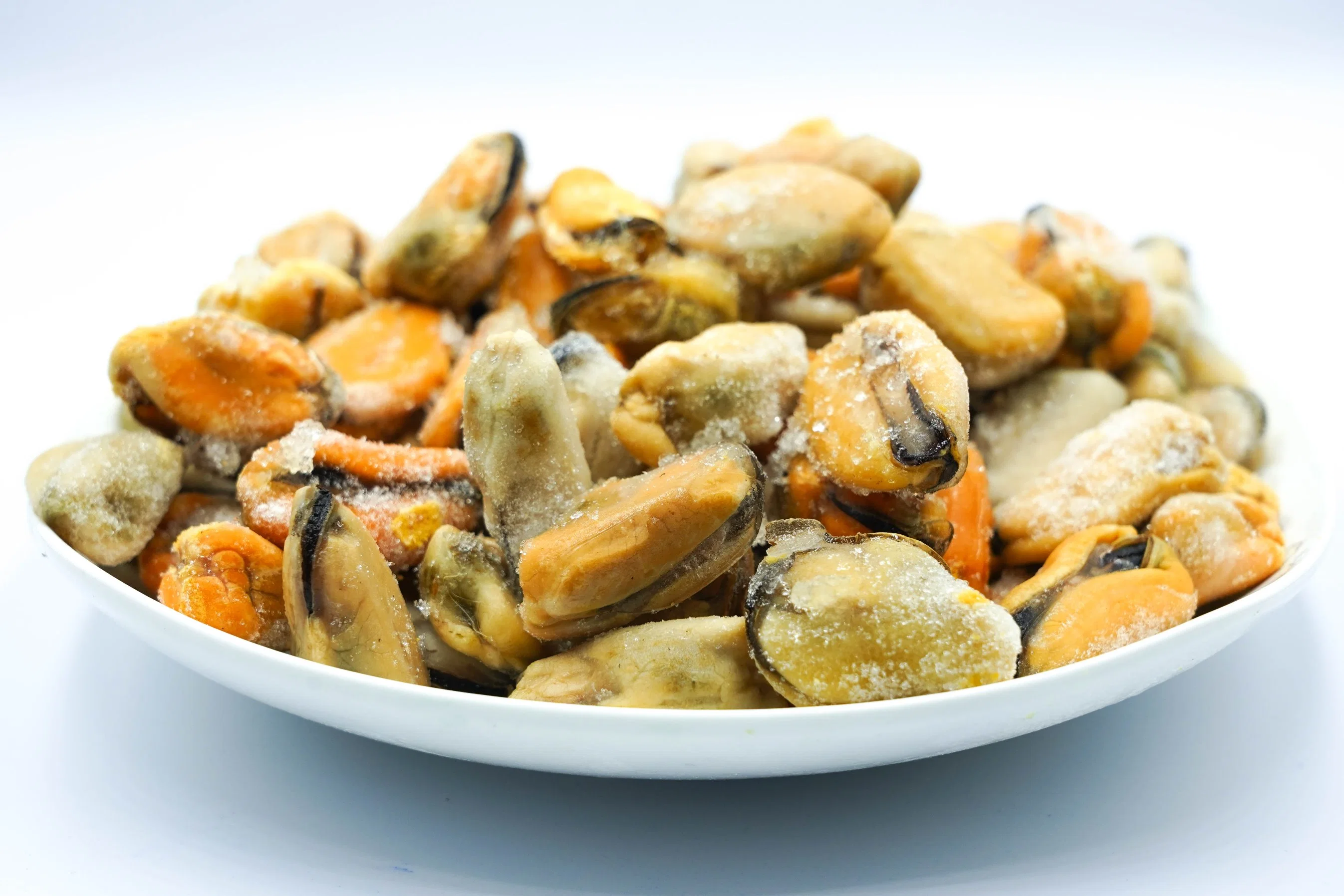 Boiled Frozen Mussel Meat Without Shell