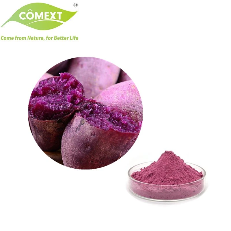 Comext 100% Salud Natural Alimentos promover la motilidad intestinal Dulce Púrpura Polvo de patata