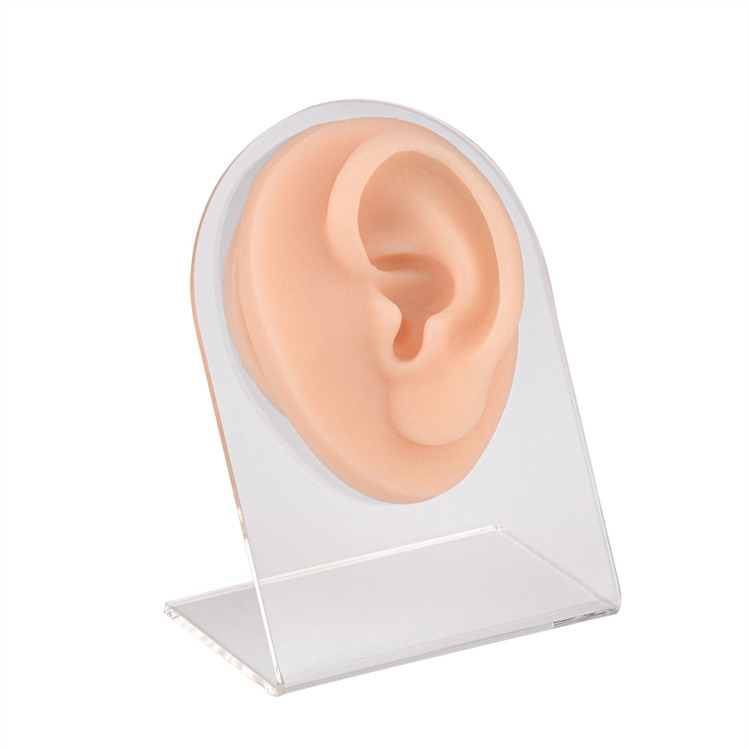 Ear Model Super Soft Silicone, Natural Size Human Left Ear Model