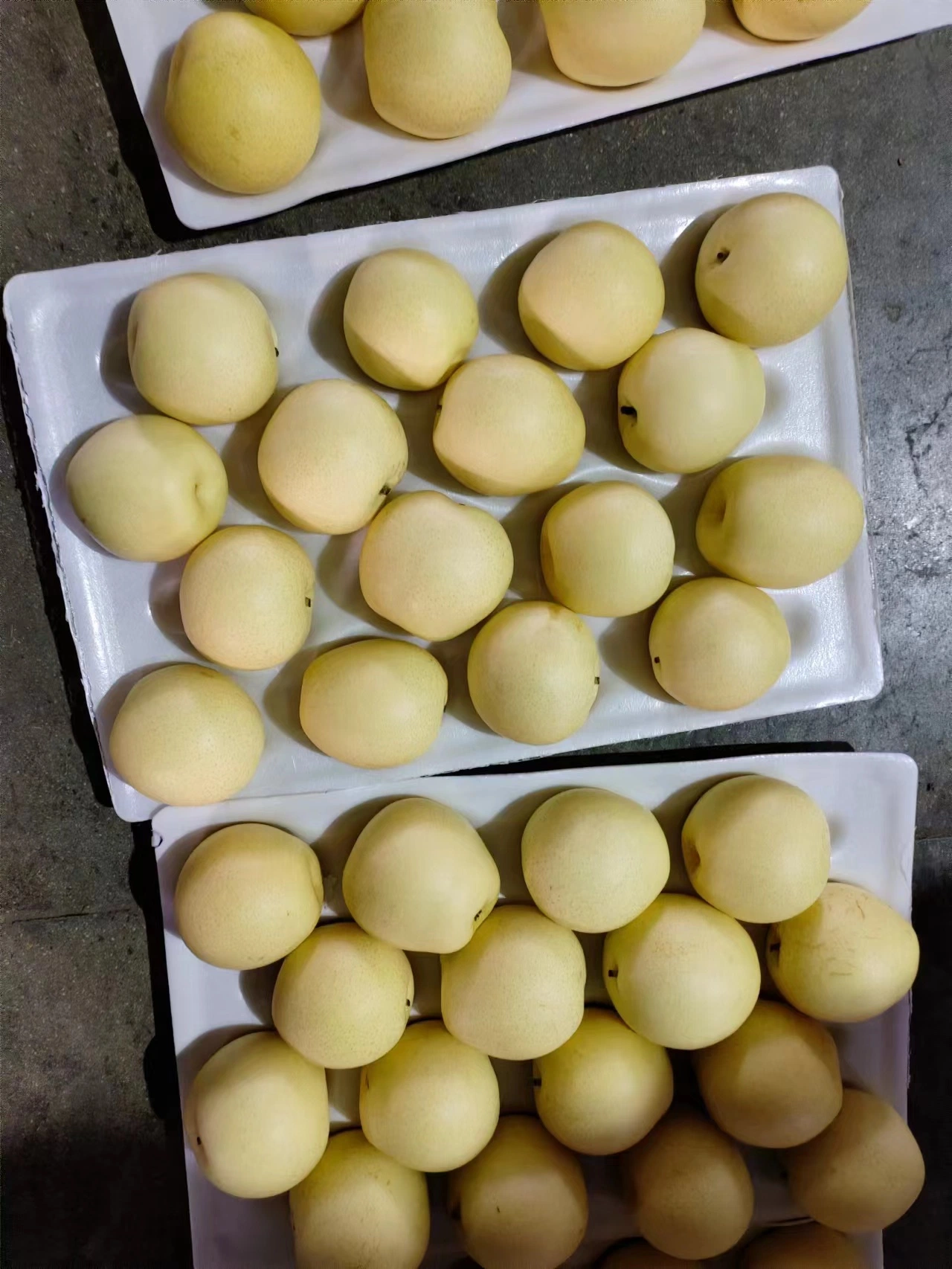 Fresh Ya Pear Crown Pear Packing in 10kg/Carton Wholesaler