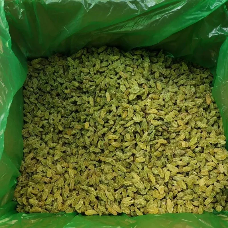 High quality/High cost performance  Xinjiang Green Color Raisins Full Raisins