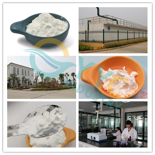 Scleroglucan Sclerotium Gum CAS 39464-87-4 Cosmetic Material Skin Care Ingredients Thickener Moisturize Scleroglucan