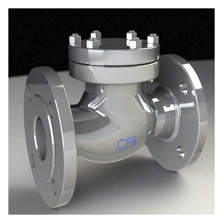 Petroleum Chemical 304 Stainless Steel Wcb Swing Type Check Valve