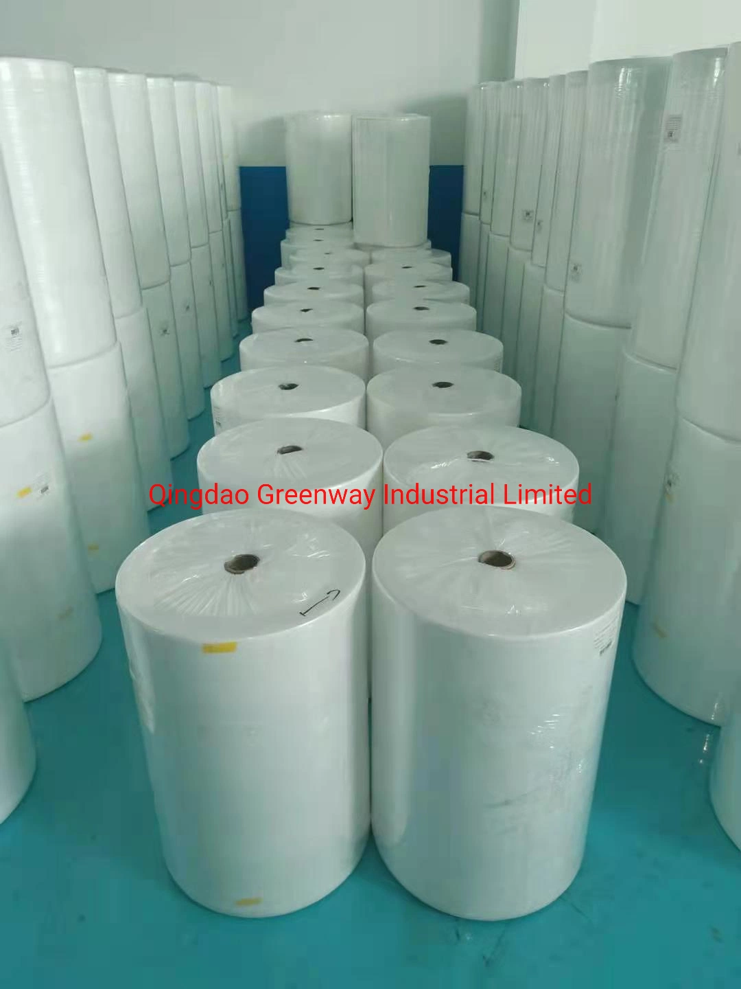 PP Nonwoven Fabric for Home Textile and Bag