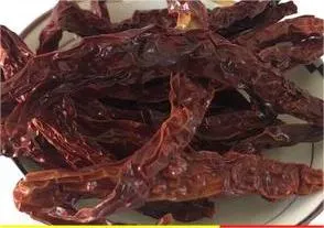 Best Natural Hot Dry Red Chili China Long Chilies