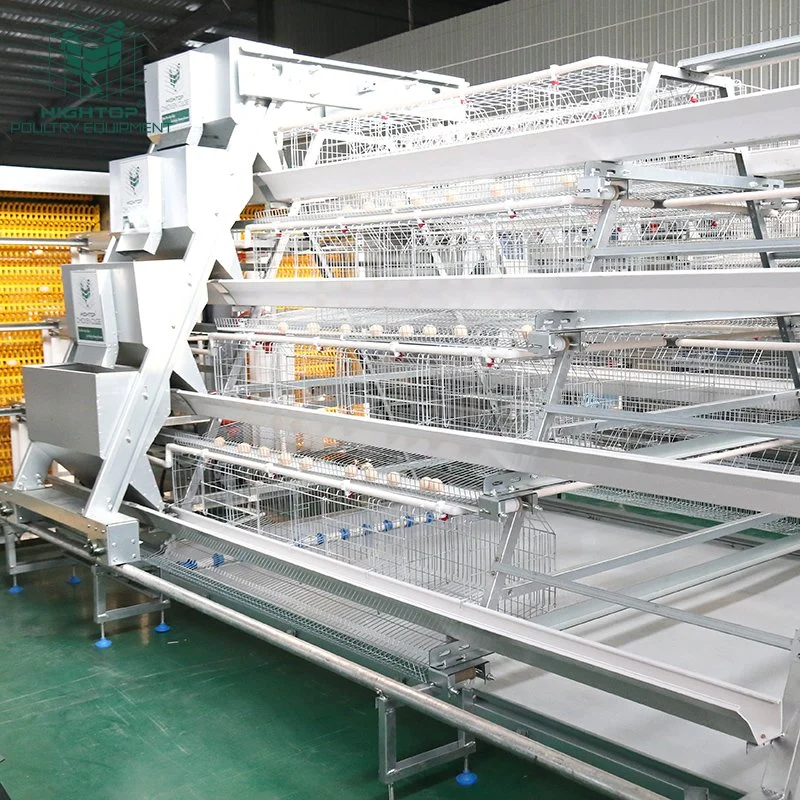 Poultry Cage Manufacturer Automatic Battery Chicken Breeding Layer Cages