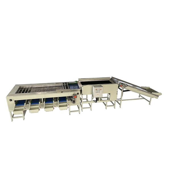 Industrial Potato Tubers Root Vegetable Elevator Brush Polishing Sorter Sorting Grading Machine for Potato Vegetable