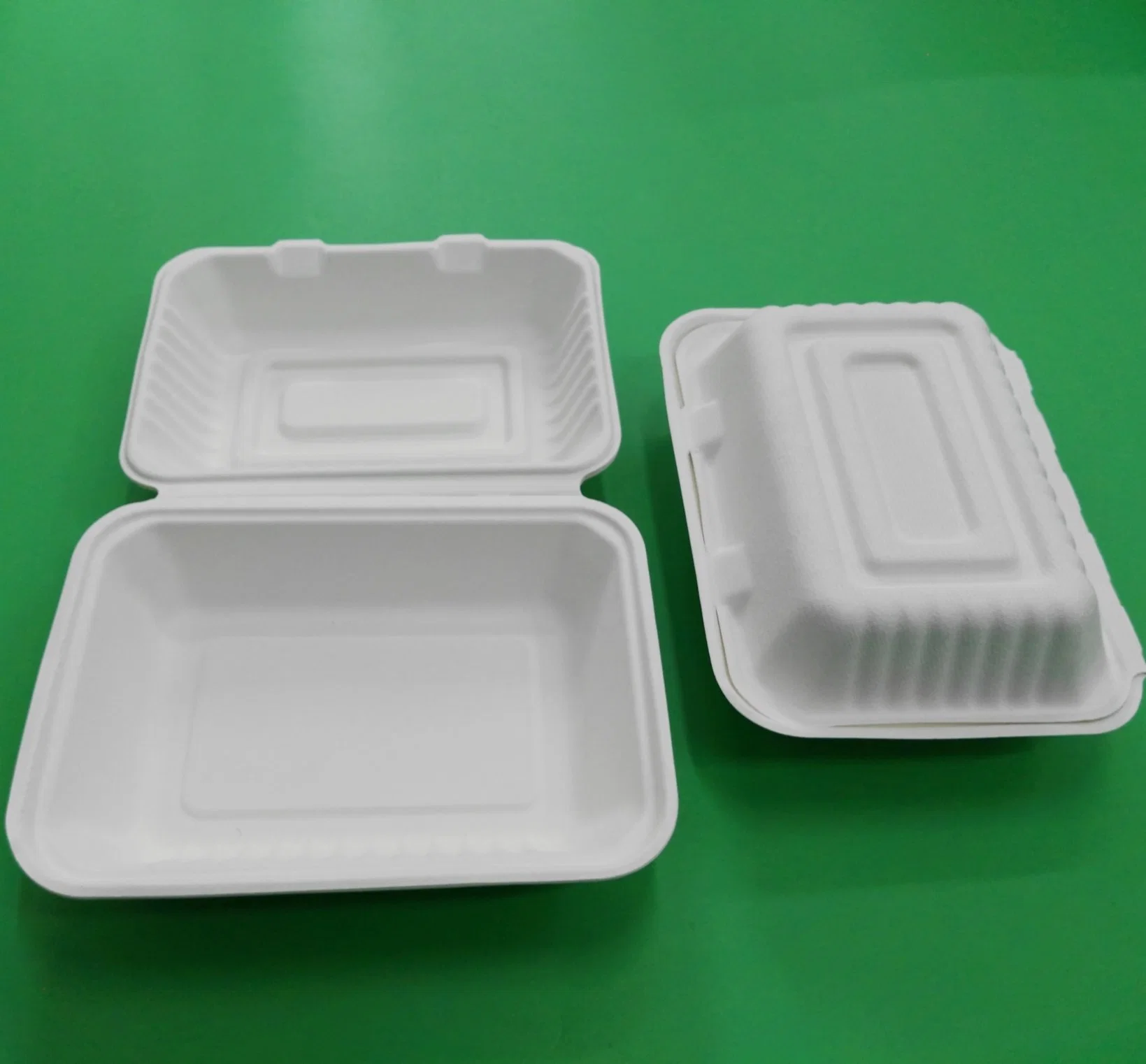 Disposable Sugarcane Pulp Paper Lunch Box, Paper Tableware