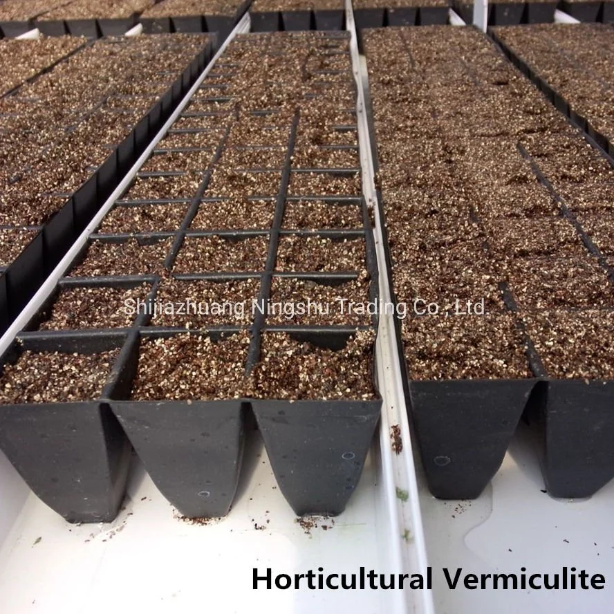 Vermiculite expansé argent doré de qualité supérieure à faible teneur en poussière pour le jardinage, l'horticulture, l'isolation, les matériaux de construction