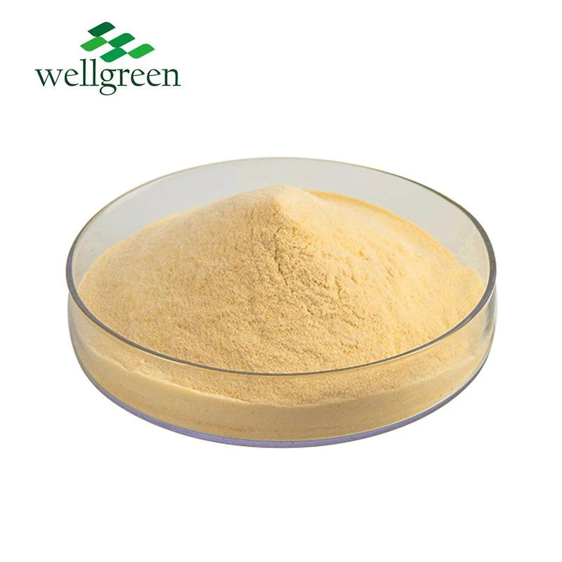 China Fruit Vegetable Powder Factory Supply Water Soluble Juice Green Melon Cantaloupe Powder