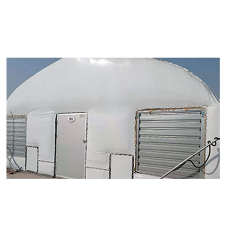 Satrise High quality/High cost performance  Agricultural Greenhouse for Mushroom