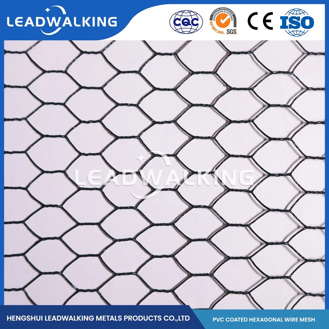 Material do fio de PVC Leadwalking metal revestido de PVC em tecido de malha de fábrica na China a malha de 1/2 polegada Hexagonal DIP Net