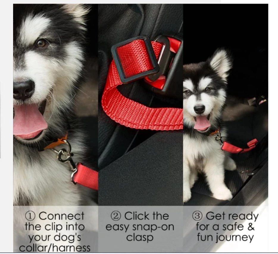 Pet Nylon Adjustable Reflective Dog Collar Dog Leash Set